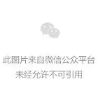 今日要闻（篮球）智利争锋圣文森特和格林纳丁斯比分预测母婴电商应用-特讯