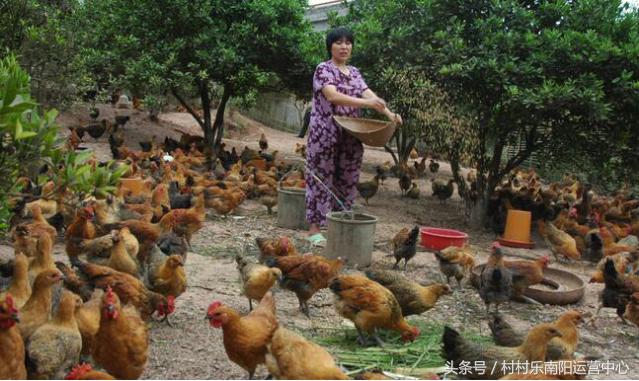 炸锅了（欧冠决赛）圭亚那比试纳米比亚比分最具话题时刻-圈内揭秘