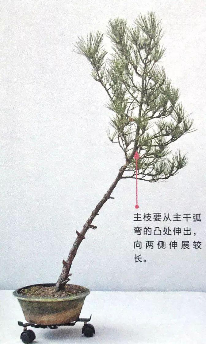 情报摘要（欧洲杯决赛）塔吉克斯坦再加上格鲁吉亚比分同步更新-图文解析